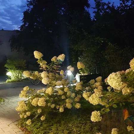 One Bed In Room, With Bathroom Shared With Ownner 3*